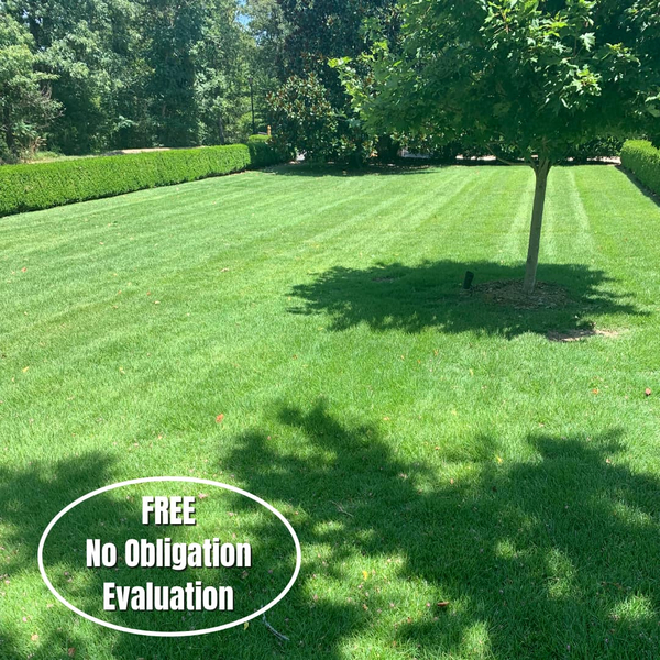 Cover photo of Lawn Doctor of Hot Springs