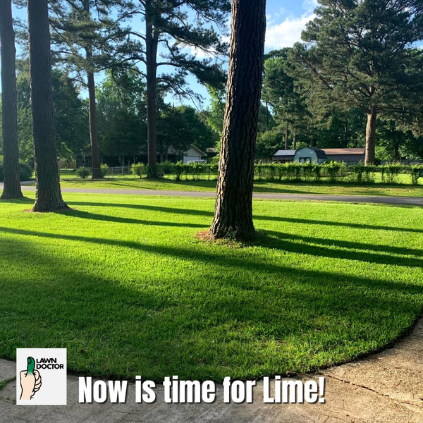 Cover photo of Lawn Doctor of Hot Springs